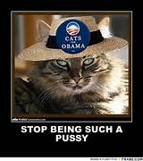 STOP BEING SUCH A PUSSY... - Cats for Obama Meme Generator Posterizer