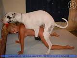 Deep pussy hole force fucked by big white dog