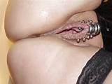 Heavily Pierced Pics Hamster