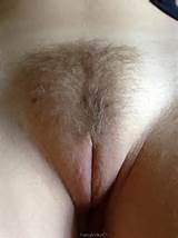 Hairy Pussy Shaved Lips Nude Female Photo