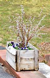 Picture of wooden planter with pussy willows. - David Beaulieu