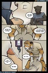 Jpg In Gallery Furry Gay Comic Queer S In The Kitchen Picture 4