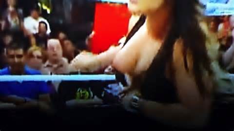 Kaitlyn From WWE Had Her Nipple Slip Out On Raw This Week ...