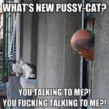... pussycat you talking to me you fucking talkin - Whats new pussy-cat
