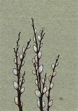 pussy willow. tattoo idea | tattoos | Pinterest