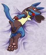 ... _gag bondage butt hindpaws jackal kinglom lucario pokÃ©mon solo