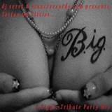 bbw footjob 201208