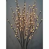 Lighted Pussy Willow Branches | Welcome to My Home | Pinterest