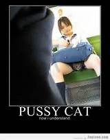 Pussy Cat Now I Understand Â« Funny Images, Pictures, Photos, Pics ...
