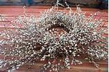 Pussy Willow Wreath | lllllllllllllllllll | Pinterest