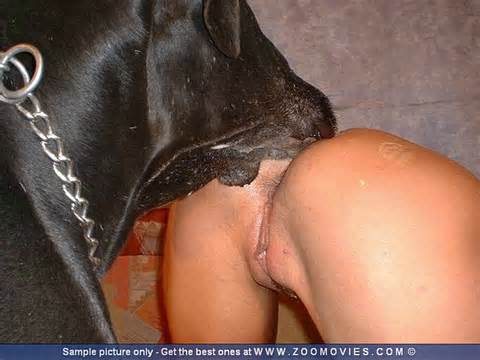 ... cock cum gallery dogs having sex with liberian mexican bestiality pics