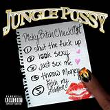 of the lyrics, visit JUNGLEPUSSY â€“ Picky Bitch Checklist Lyrics ...