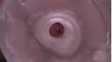 Inside my Fleshlight