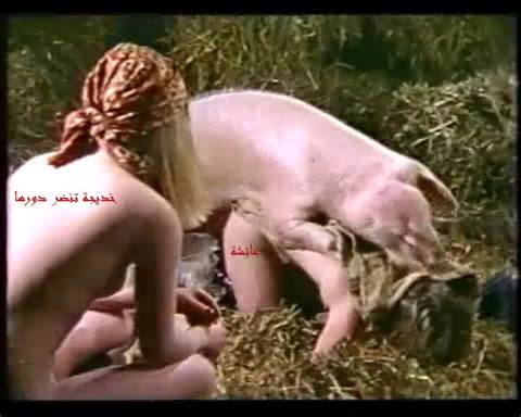 pig-fuck-mohamed-wif in porn gallery My Porn Images & Videos- FileFap ...