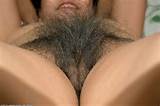 hairy pussy picture gallery, hairy naked pussy