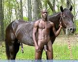 If the horse looks like this then yes he does become a nigger.