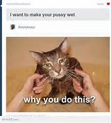 want to make your pussy wet | SWAGCT