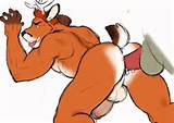 Gay Furry Porn 3 Knottyfoxcawks Deer Butts Animated By