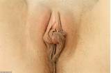 Large Labia Honey Ties Her Pussy Lips into a Knot (Picture 11 ...