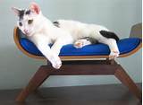 bent plywood cat lounge