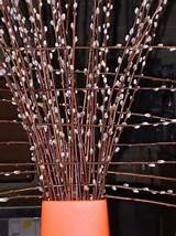 Spring pussy willow arrangement from Illinois Willows. Spring's a ...