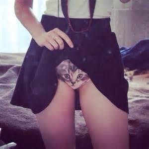 Why Don't I Have This Kitten Print Boypants, Meeeeeooooow! - Why Don't ...