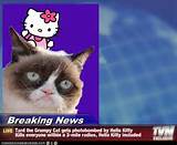 ... News - Tard the Grumpy Cat gets photobombed by Hello Kitty