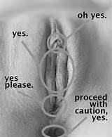 Hot Facesitting And Pussy Eating â€¢ Pussy eating guide for dummies ...