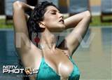 Porn Star Sunny Leone Hot In Jism 2 Actress Nude Gallery