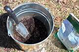 planting a black pussy willow by Justine Hand, fertilizer, Gardenista