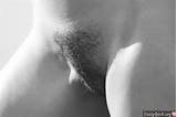 French Hairy Pussy Lips Blank and White Photo Nude Female Photo