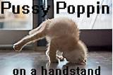 ItsCeReeves : http://t.co/wupAOP6l Pussy poppin on a handstand - 2012 ...