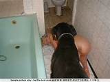 horse dick penetrating tight pussy big horse cock and tits