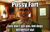 Pussy Fart Cats don't get gas, but dogs DEFINITELY do! - Sexually ...