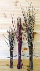 Natural Pussy Willow and Red Willow Bouquets-Decorate Country Style