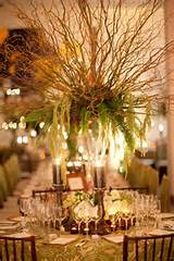 ... centerpieces using our fresh or dried curly willow fantail willow