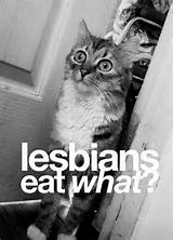 Lesbians Eat Pussy - Funny Cats Pictures With Captions - See Funny ...