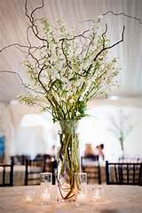 ... centerpieces using our fresh or dried curly willow fantail willow