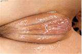 High-res pussy with lube - MUCHOSUCKO.com