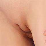 The vulva (from the Latin vulva, plural vulvae, see etymology ...