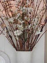 spring 2012: twiggy lights, dogwood and pussy willow branches