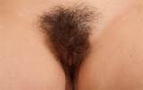 Close Up Hairy Pussy