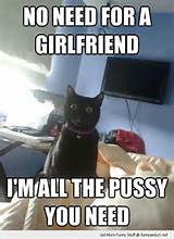 ... pussy you need funny pics pictures pic picture image photo images