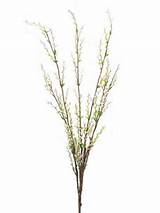 ... Of 6 Country Botanical Artificial Pussy Willow Bush Sprays 40 Supplier