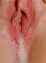 labiacream:Hairy CreampieDripping CumFF Creampie EatingCum ...