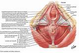 18 Again: Vaginal tightening quackery?