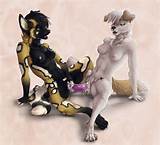 Rule 34 - 2012 african wild dog anthro breasts canine clitoris dildo ...