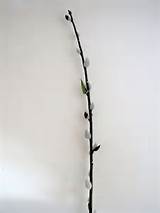 Single Stem of good Artificial Pussy willow