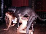 huge dog cock big dog cock n hot woman