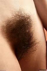 Extremely Hairy Vagina Big Bush Nude Female Photo